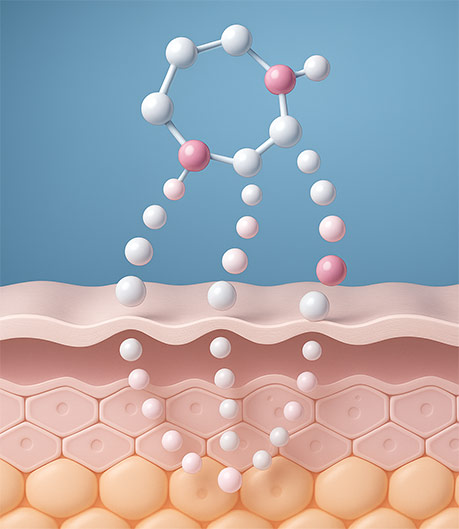 Diagram about how Ageless Skincare works on skin